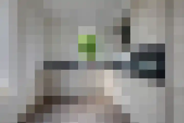 Nieuwkamppad 1 Zevenaar thumbnail 26