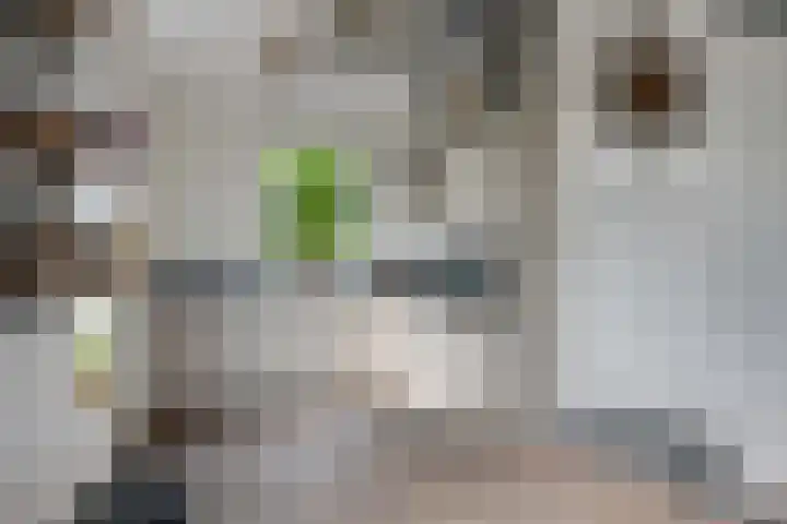 Nieuwkamppad 1 Zevenaar thumbnail 27
