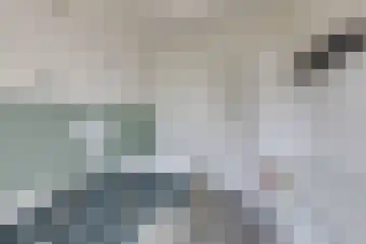Nieuwkamppad 1 Zevenaar thumbnail 35