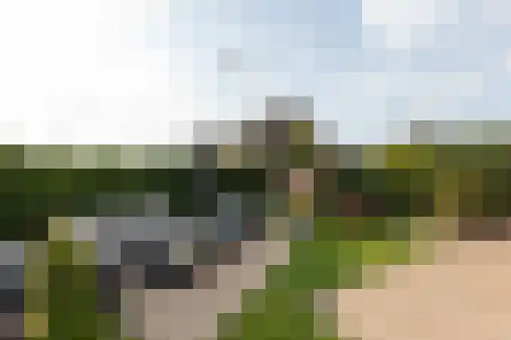Nieuwkamppad 1 Zevenaar thumbnail 4