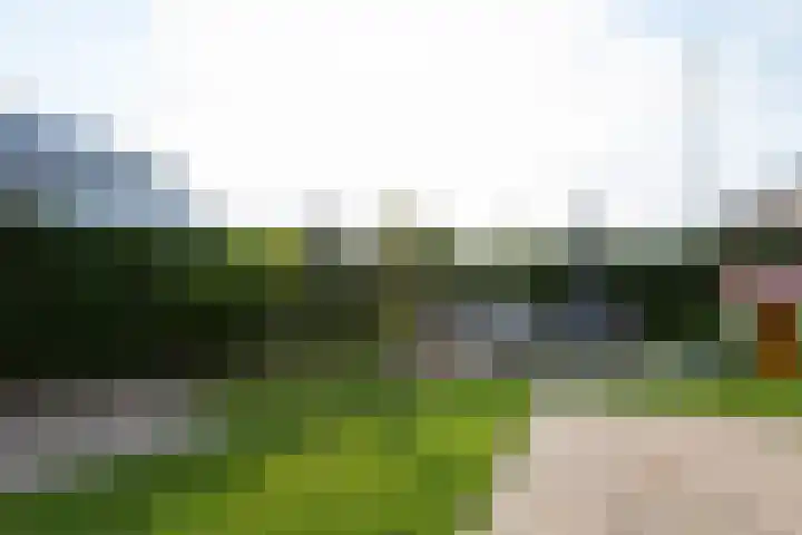 Nieuwkamppad 1 Zevenaar thumbnail 50
