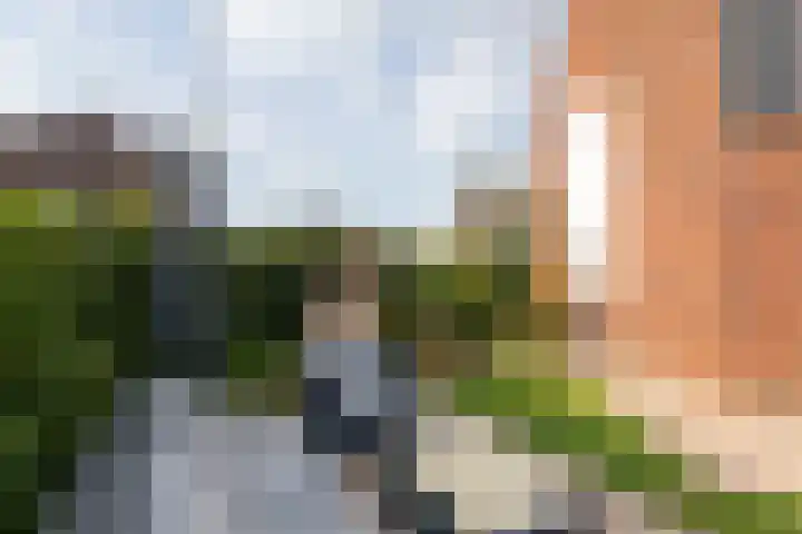 Nieuwkamppad 1 Zevenaar thumbnail 51