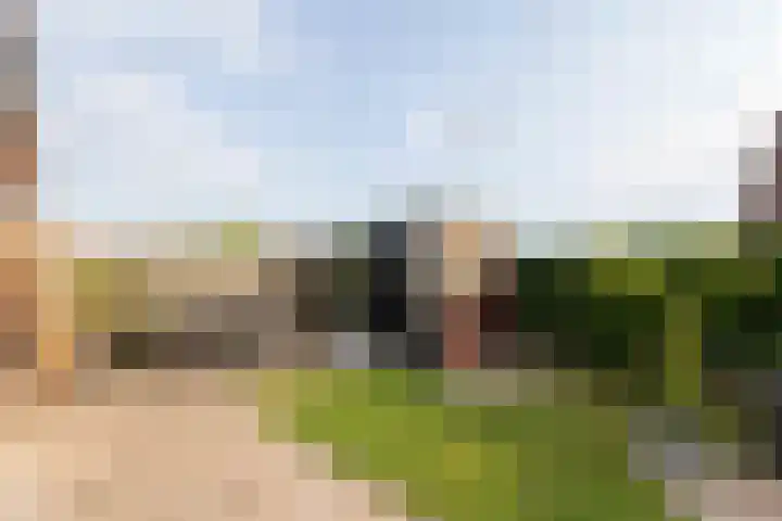 Nieuwkamppad 1 Zevenaar thumbnail 52