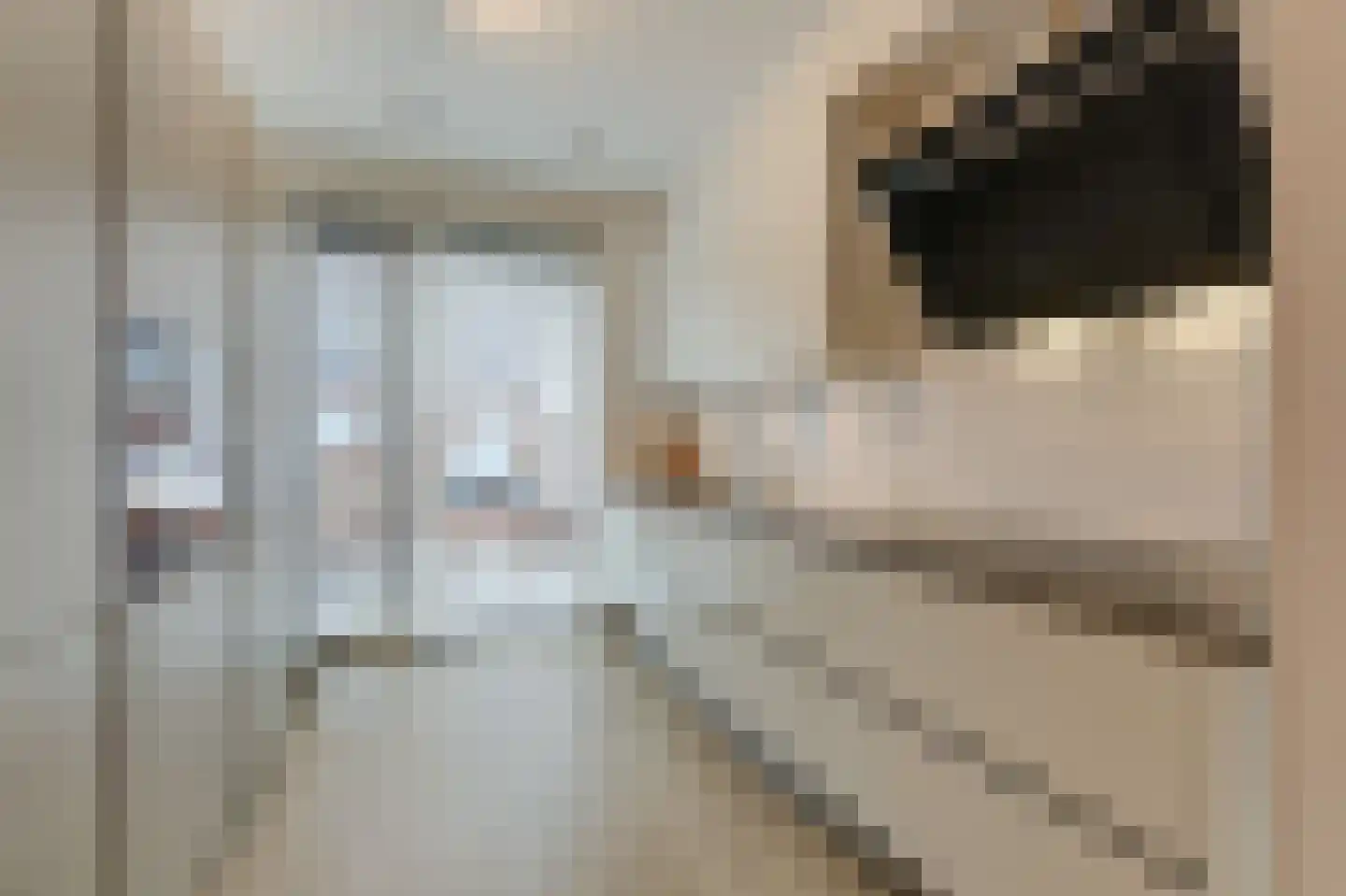 Nieuwkamppad 9 Zevenaar thumbnail 20