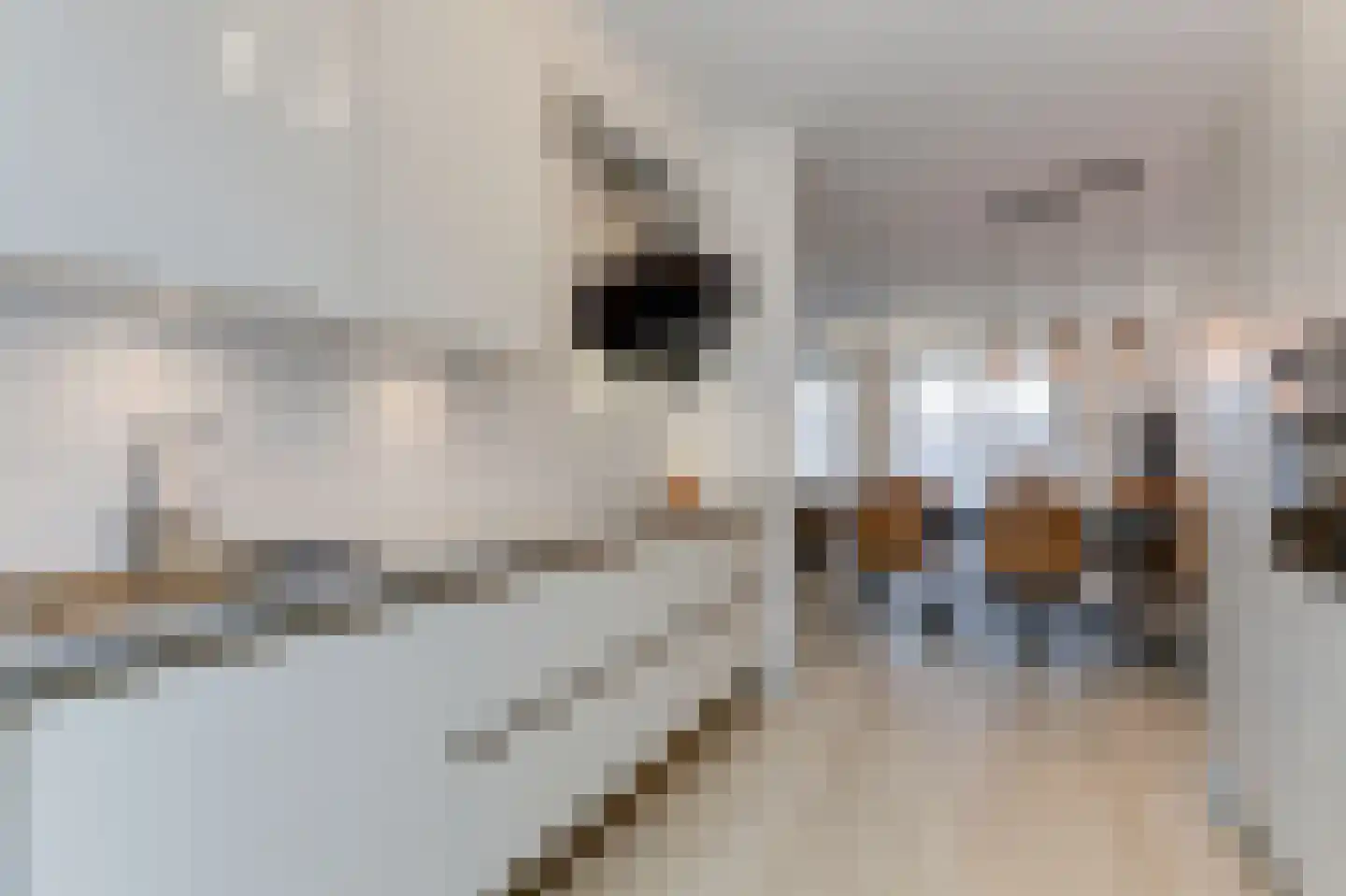 Nieuwkamppad 9 Zevenaar thumbnail 22