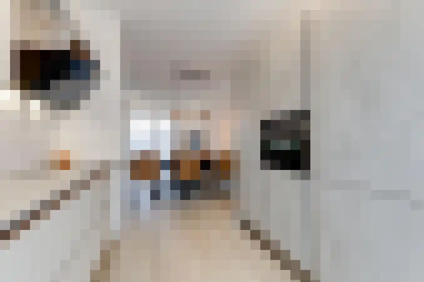 Nieuwkamppad 9 Zevenaar thumbnail 23