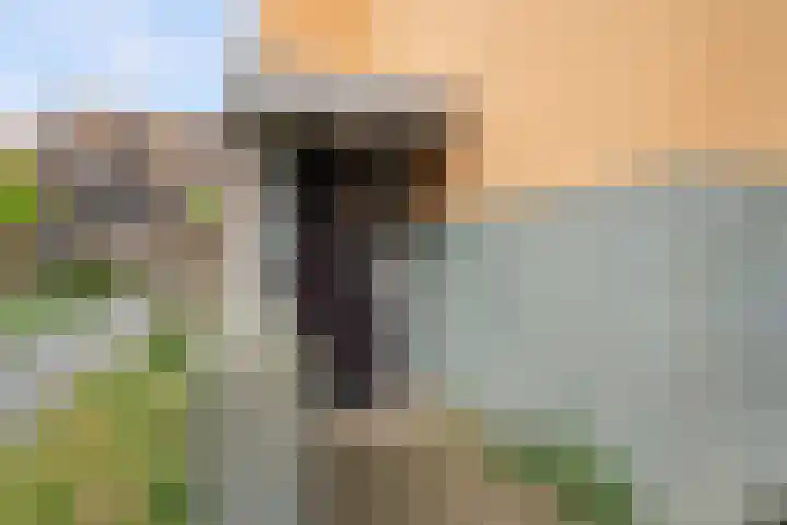 Nieuwkerkstraat 54 Dordrecht thumbnail 5