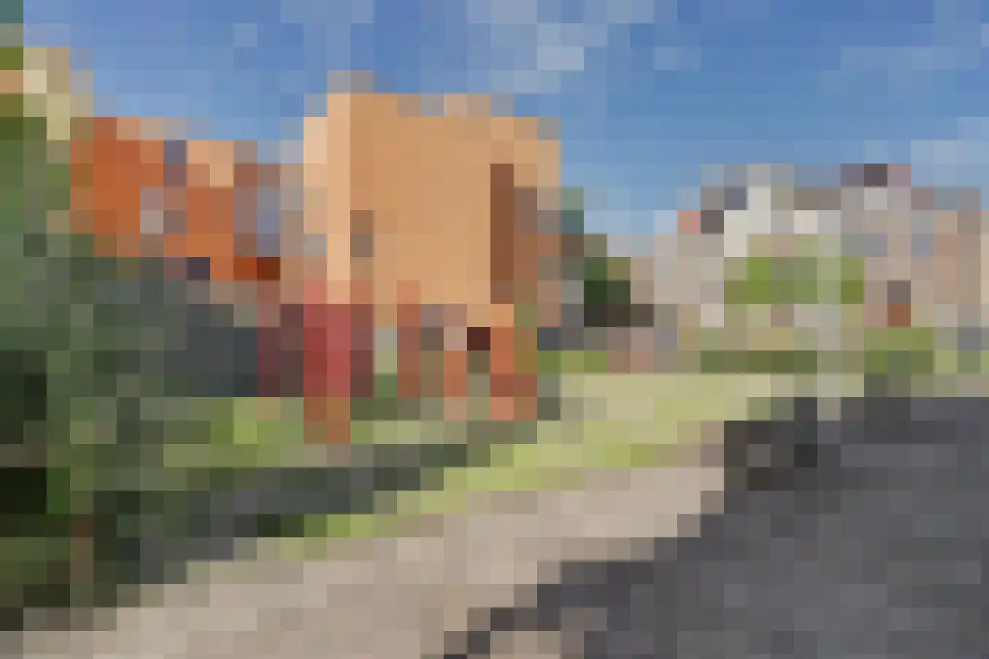 Nieuwkerkstraat 60 Dordrecht thumbnail 10