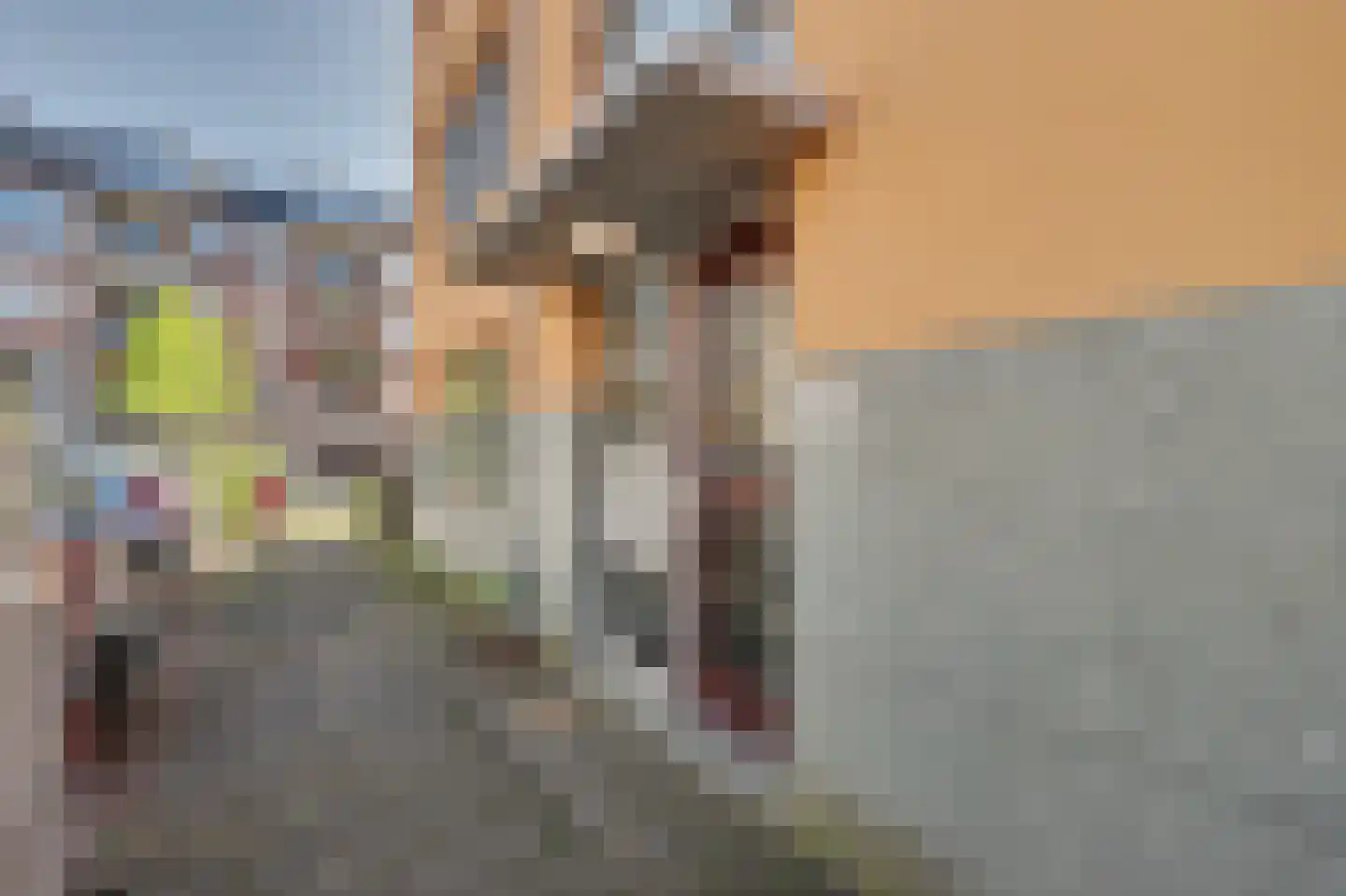 Nieuwkerkstraat 60 Dordrecht thumbnail 11