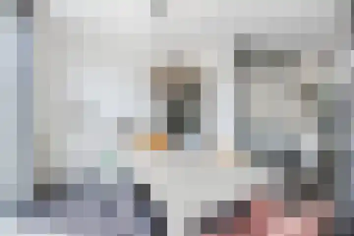 Nieuwkoopplein 6 Tilburg thumbnail 11
