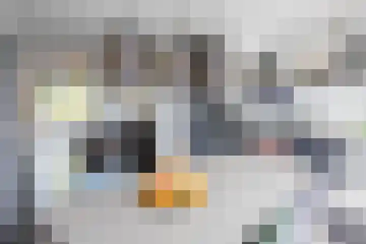 Nieuwkoopplein 6 Tilburg thumbnail 13