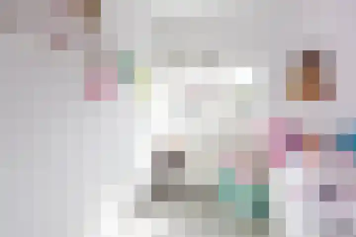 Nieuwkoopplein 6 Tilburg thumbnail 25