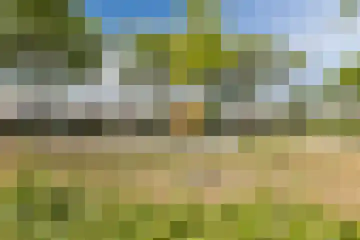 Nieuwkoopplein 6 Tilburg thumbnail 39