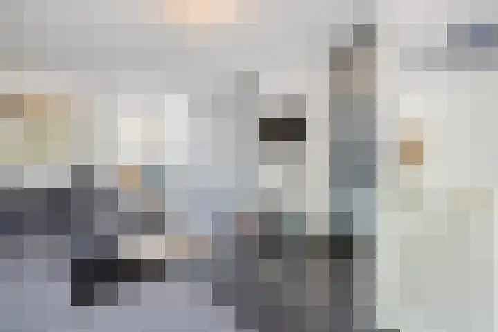 Nieuwkoopplein 6 Tilburg thumbnail 8