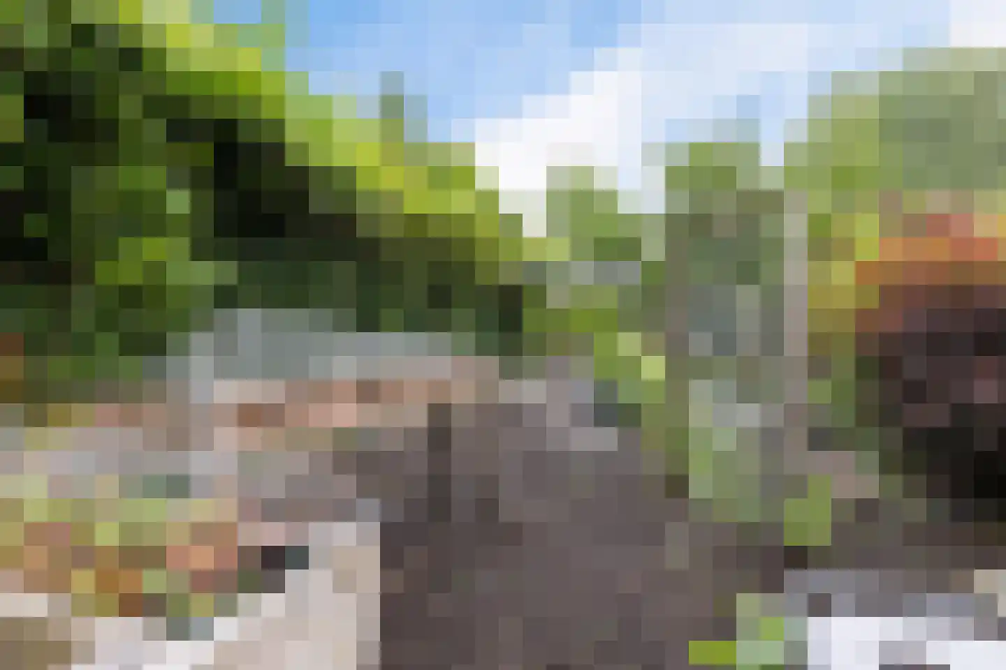 Nieuwkoopseweg 1 Aarlanderveen thumbnail 10