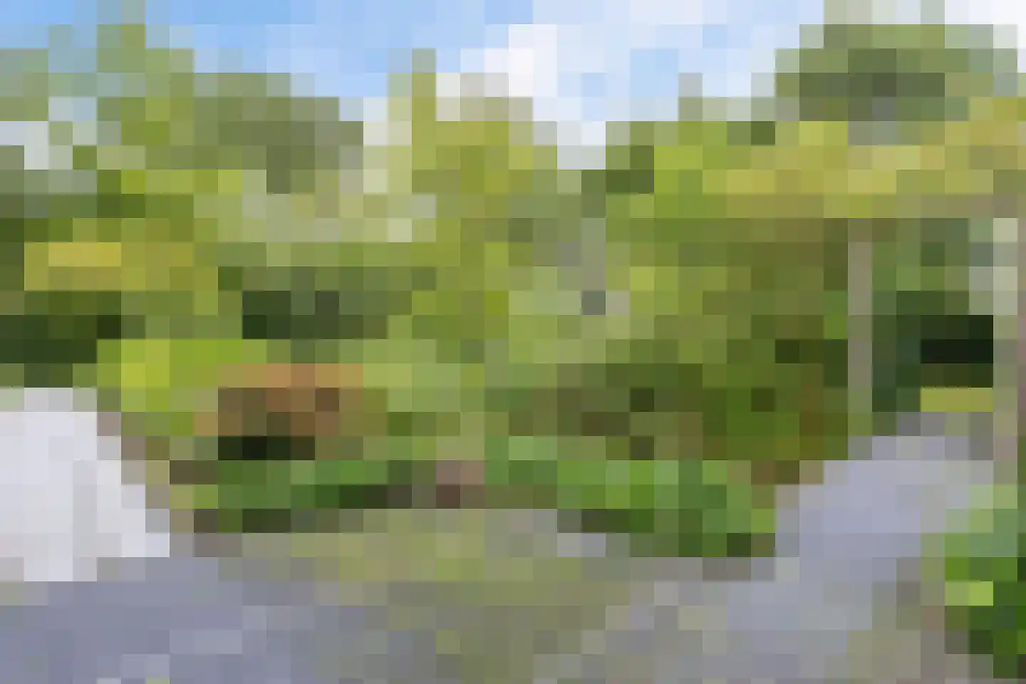 Nieuwkoopseweg 1 Aarlanderveen thumbnail 11