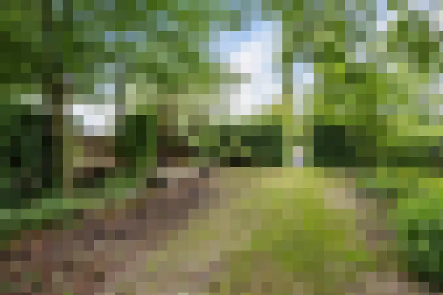 Nieuwkoopseweg 1 Aarlanderveen thumbnail 13