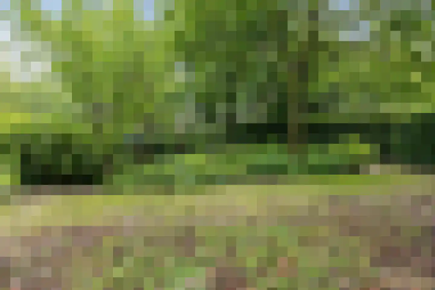 Nieuwkoopseweg 1 Aarlanderveen thumbnail 14