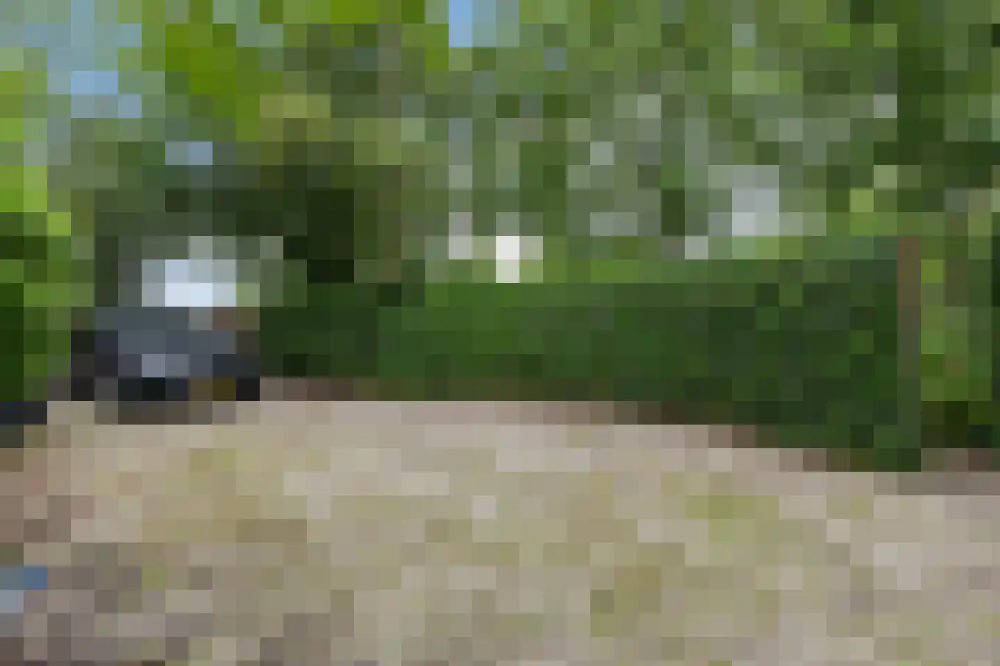 Nieuwkoopseweg 1 Aarlanderveen thumbnail 15