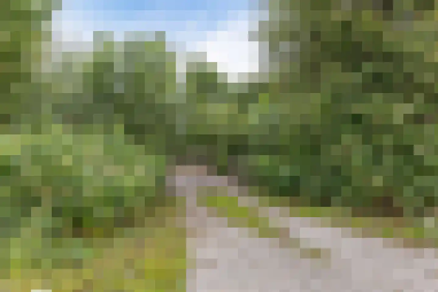 Nieuwkoopseweg 1 Aarlanderveen thumbnail 16