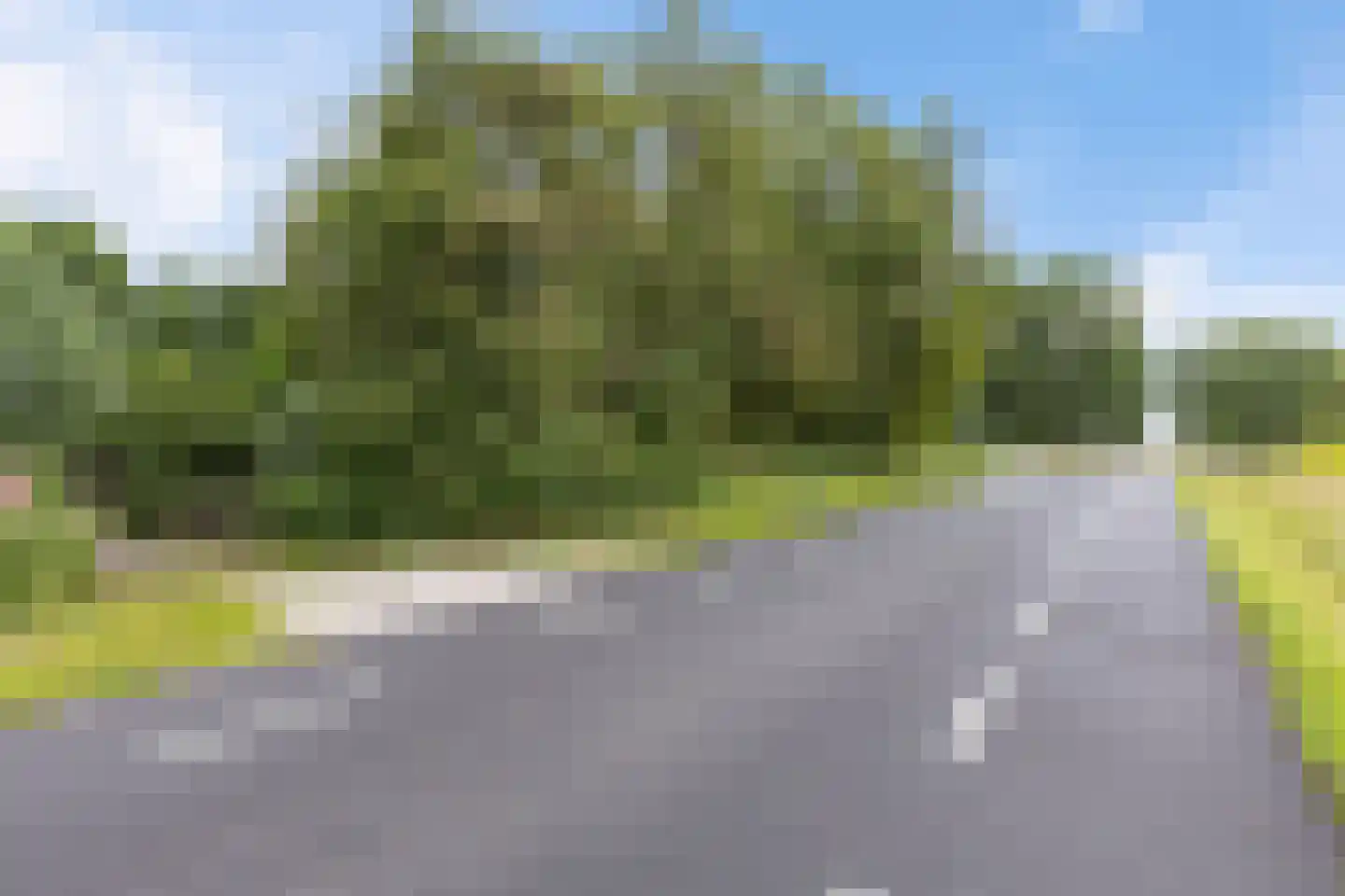 Nieuwkoopseweg 1 Aarlanderveen thumbnail 18