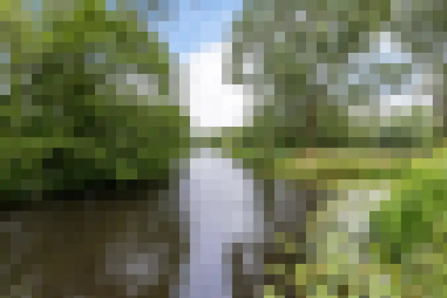 Nieuwkoopseweg 1 Aarlanderveen thumbnail 19