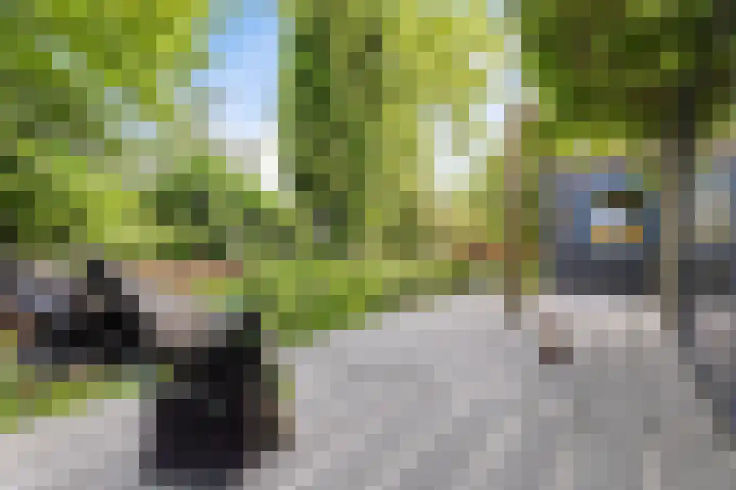 Nieuwkoopseweg 1 Aarlanderveen thumbnail 22