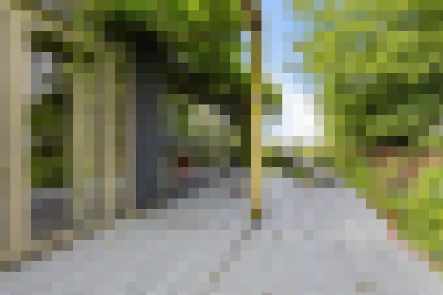 Nieuwkoopseweg 1 Aarlanderveen thumbnail 23