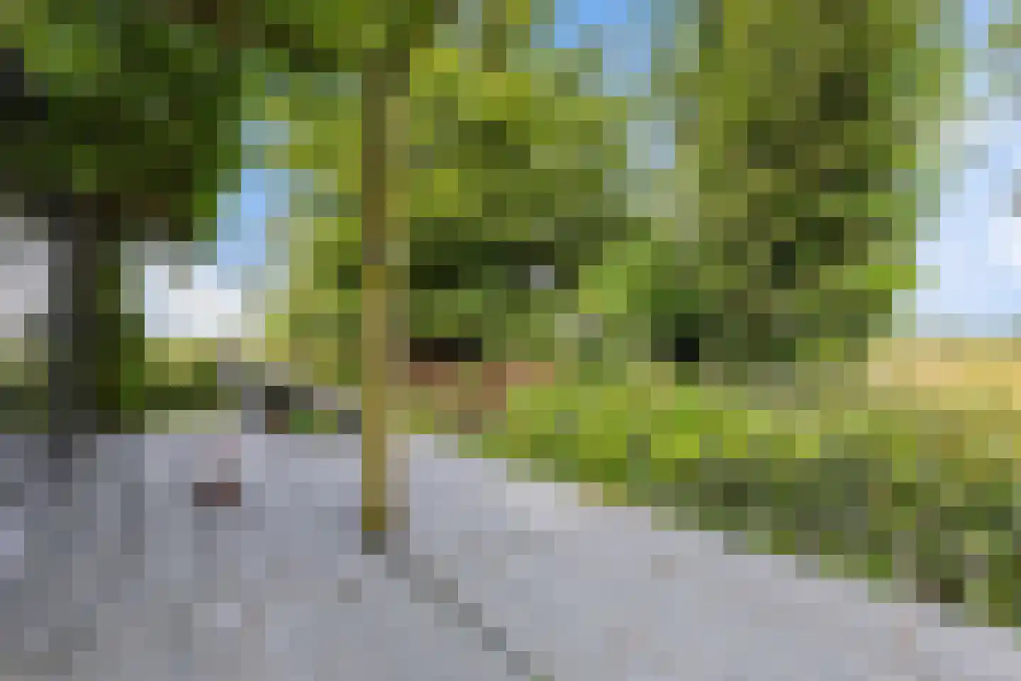 Nieuwkoopseweg 1 Aarlanderveen thumbnail 24