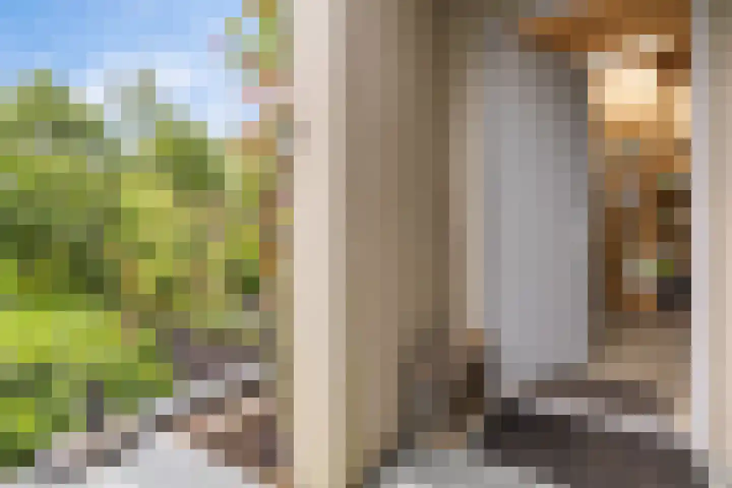 Nieuwkoopseweg 1 Aarlanderveen thumbnail 27