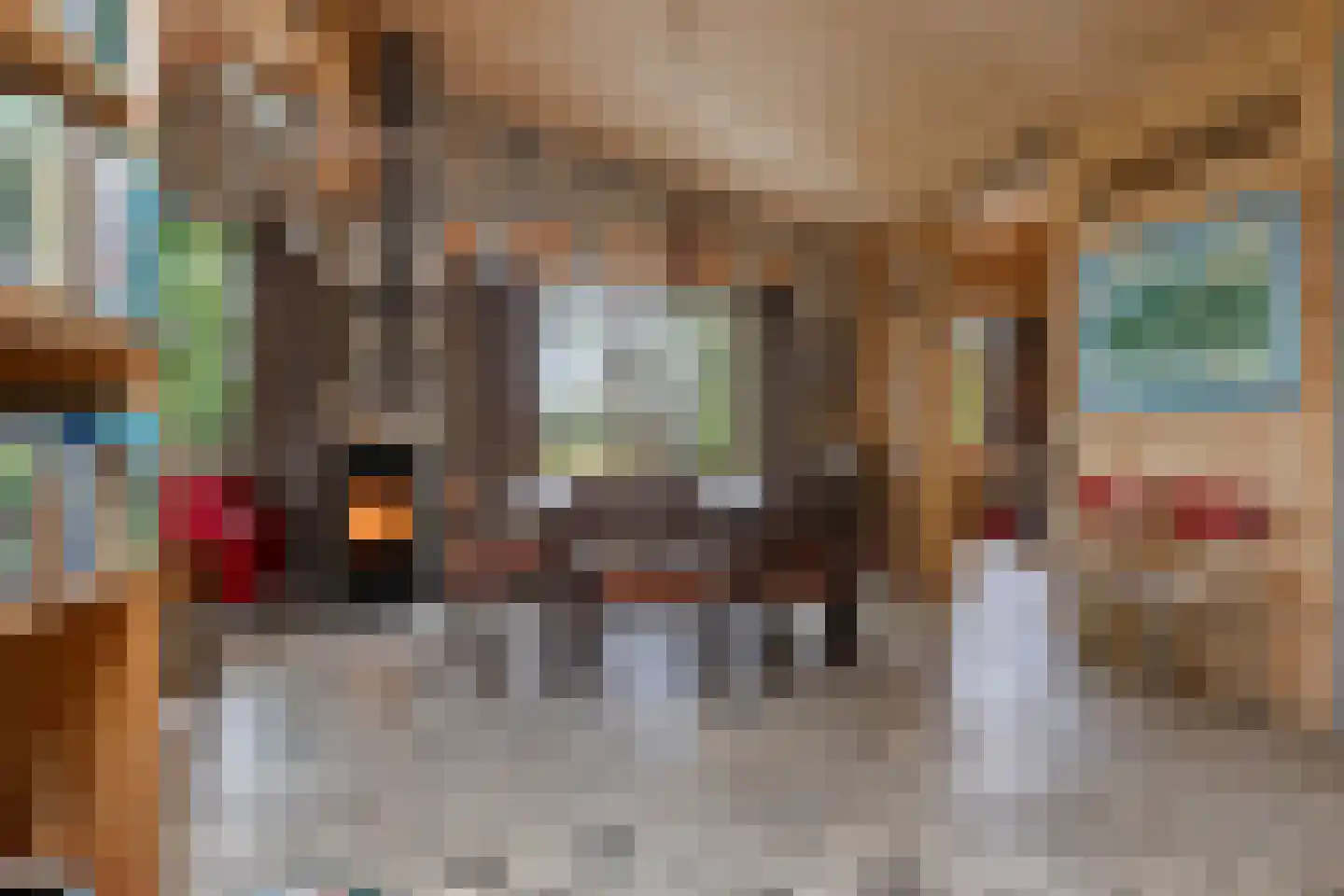 Nieuwkoopseweg 1 Aarlanderveen thumbnail 30