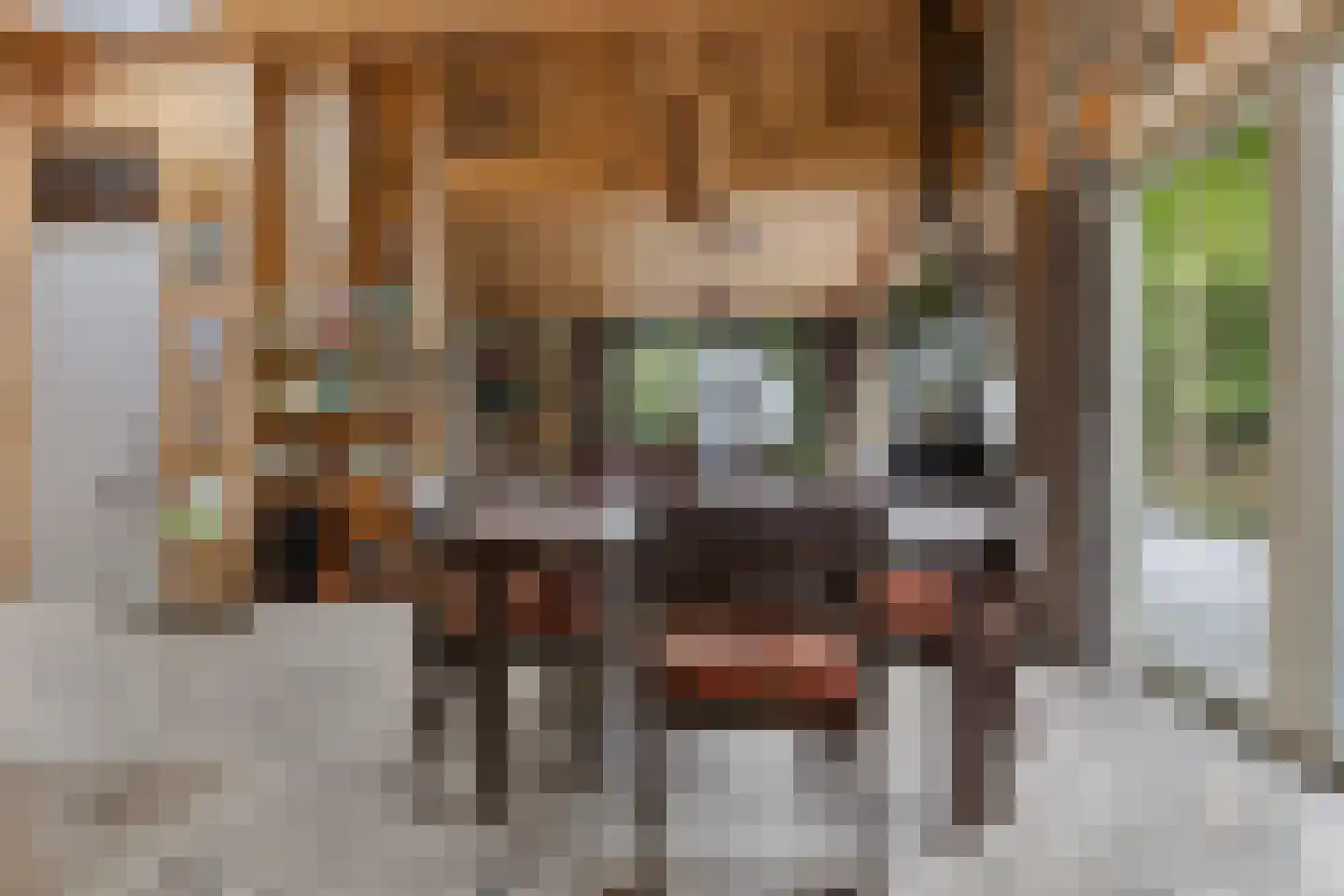 Nieuwkoopseweg 1 Aarlanderveen thumbnail 31