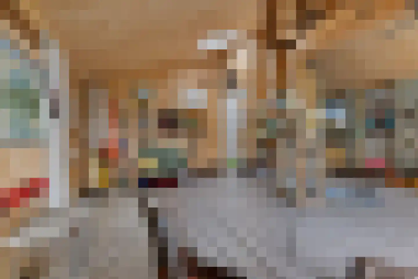 Nieuwkoopseweg 1 Aarlanderveen thumbnail 32