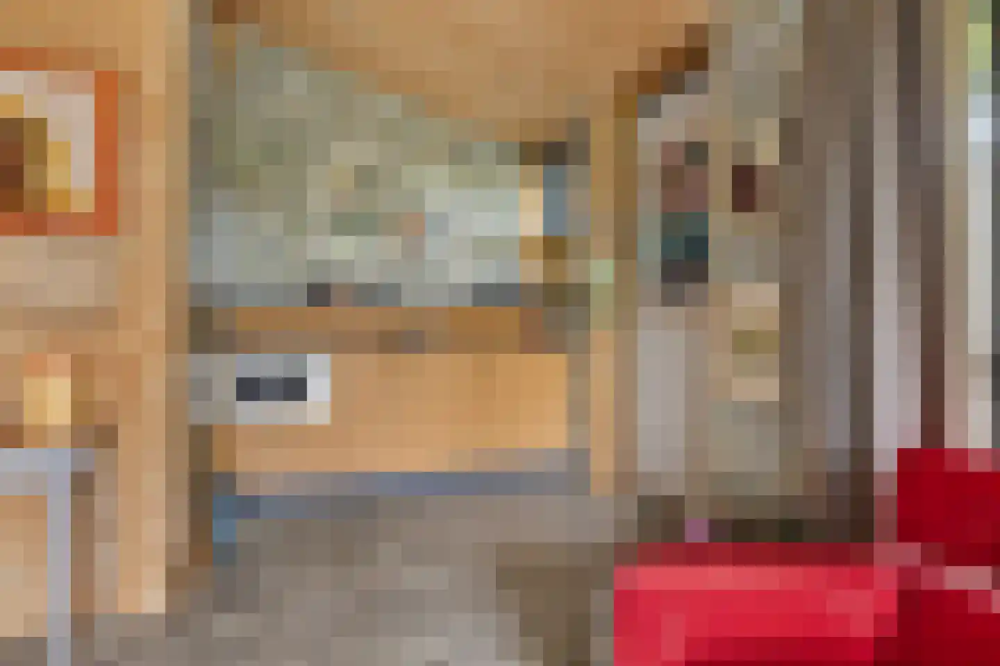 Nieuwkoopseweg 1 Aarlanderveen thumbnail 37