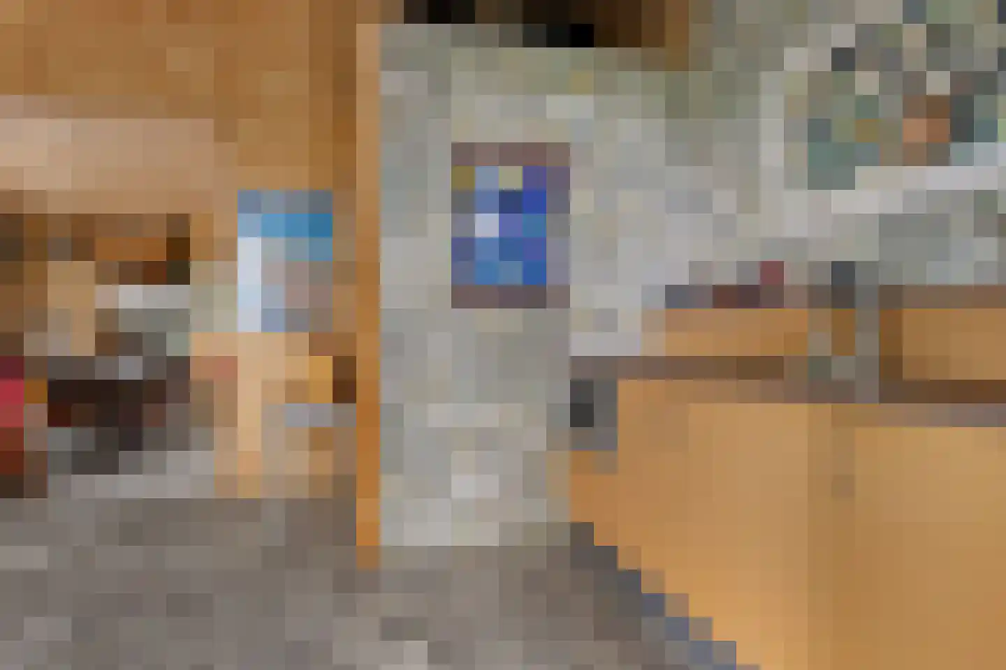 Nieuwkoopseweg 1 Aarlanderveen thumbnail 39