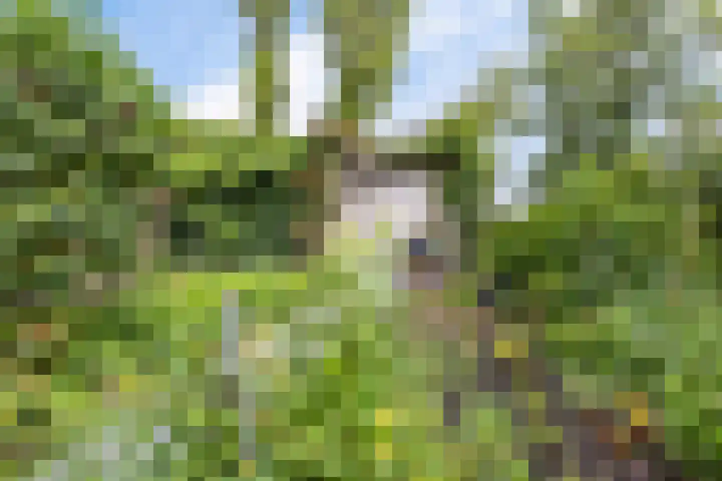 Nieuwkoopseweg 1 Aarlanderveen thumbnail 4