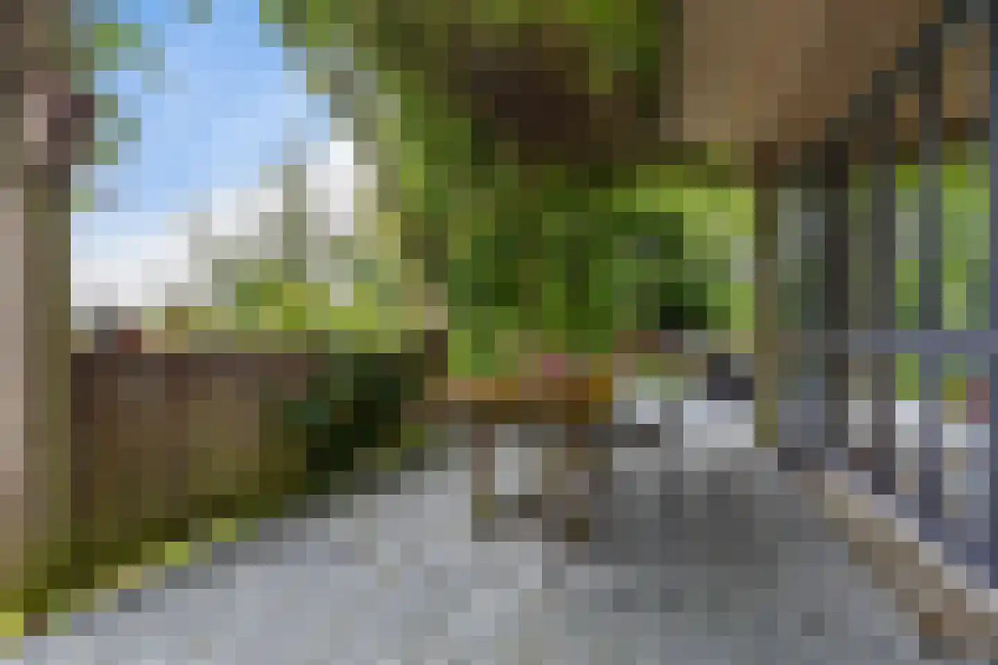 Nieuwkoopseweg 1 Aarlanderveen thumbnail 40