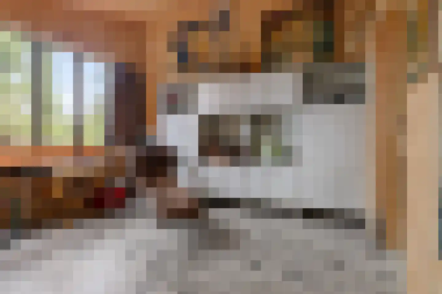 Nieuwkoopseweg 1 Aarlanderveen thumbnail 43