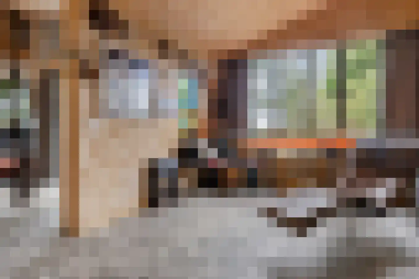 Nieuwkoopseweg 1 Aarlanderveen thumbnail 44