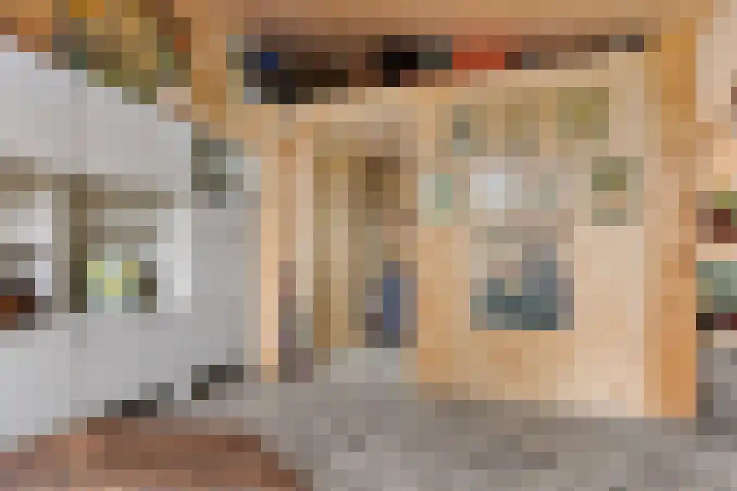 Nieuwkoopseweg 1 Aarlanderveen thumbnail 45