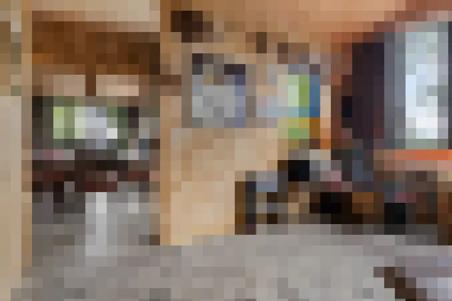 Nieuwkoopseweg 1 Aarlanderveen thumbnail 49