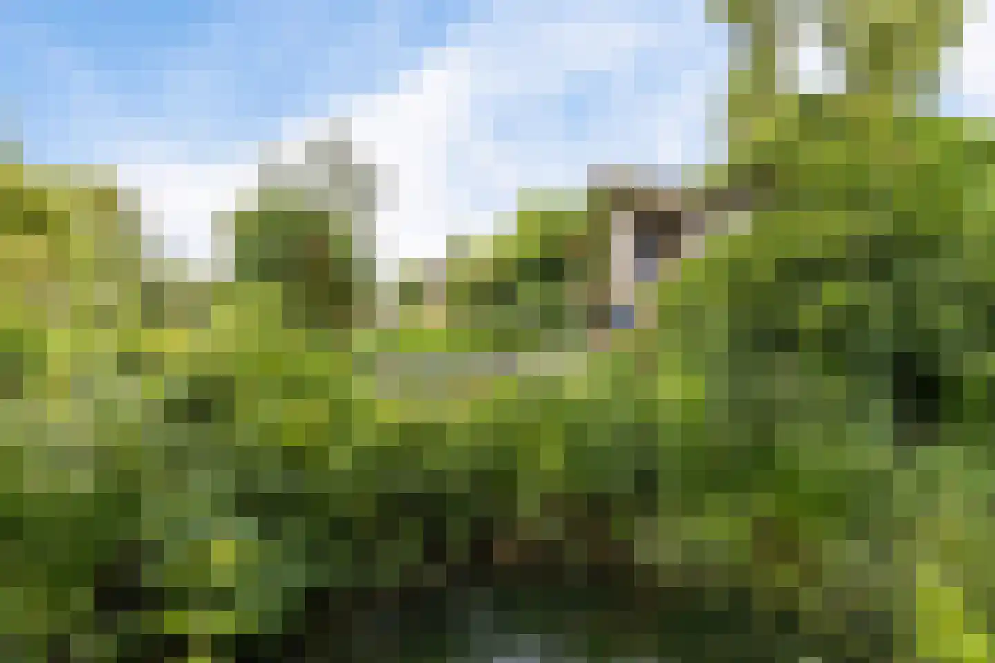 Nieuwkoopseweg 1 Aarlanderveen thumbnail 5
