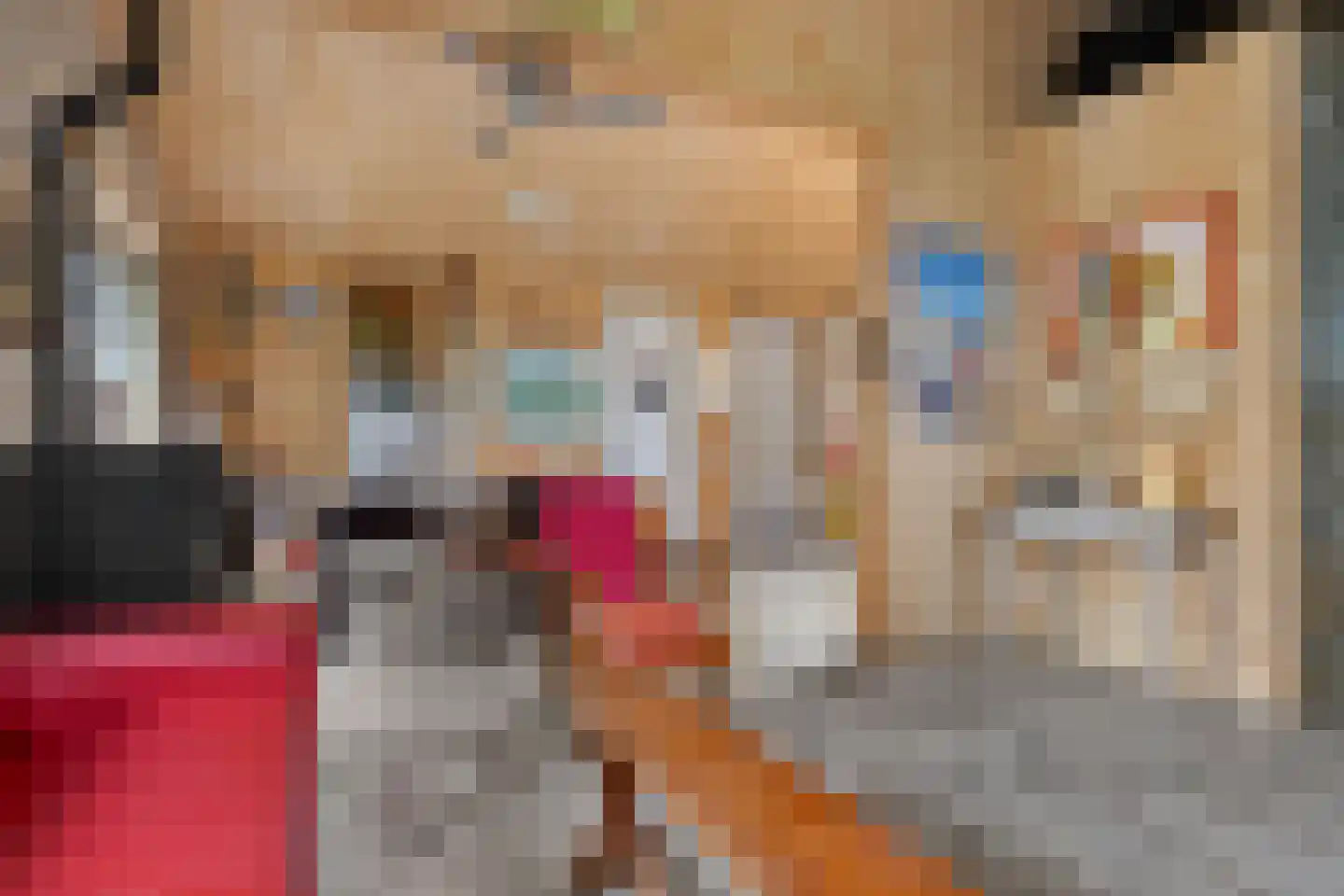 Nieuwkoopseweg 1 Aarlanderveen thumbnail 50