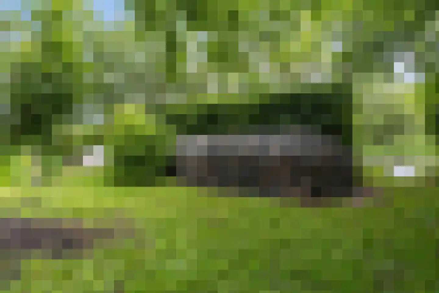Nieuwkoopseweg 1 Aarlanderveen thumbnail 6