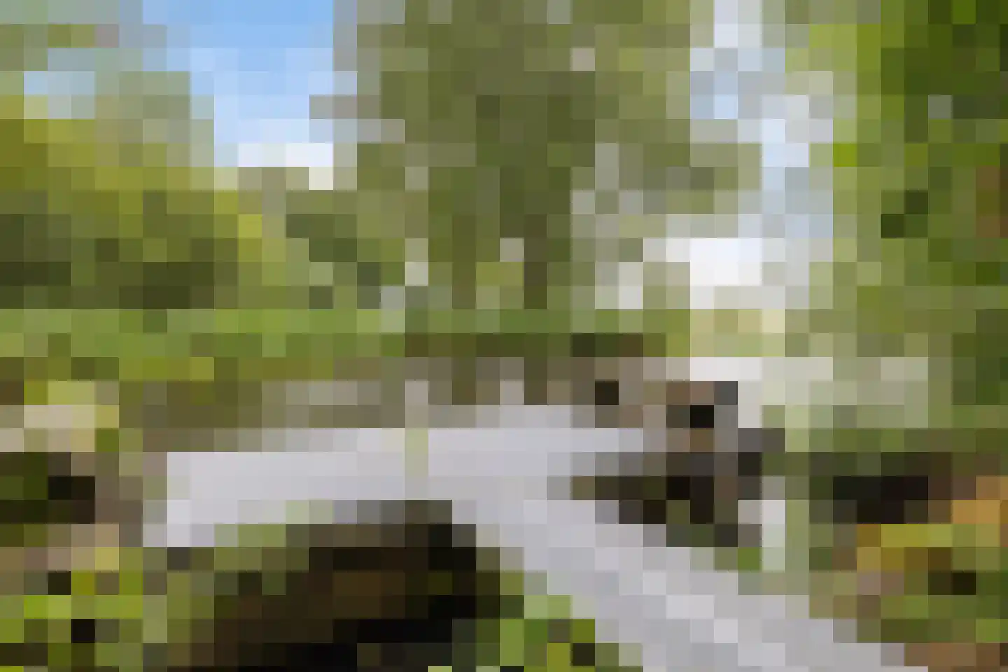 Nieuwkoopseweg 1 Aarlanderveen thumbnail 7