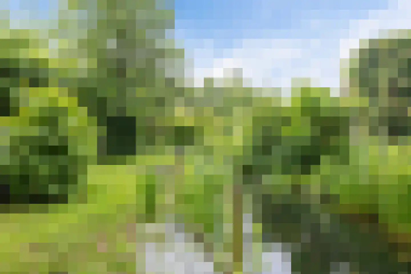 Nieuwkoopseweg 1 Aarlanderveen thumbnail 9