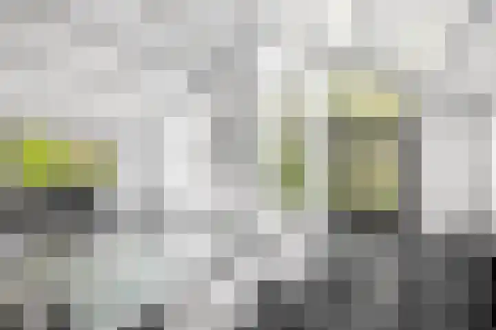 Nieuwkoopseweg 24 Pijnacker thumbnail 11