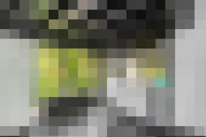 Nieuwkoopseweg 24 Pijnacker thumbnail 13