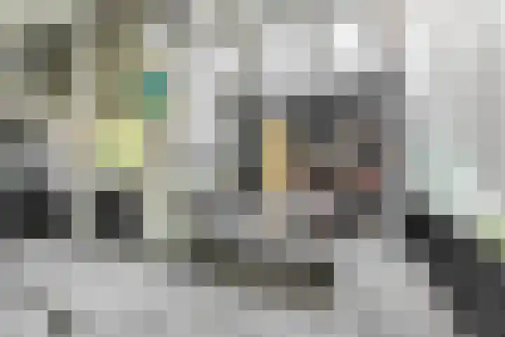 Nieuwkoopseweg 24 Pijnacker thumbnail 22
