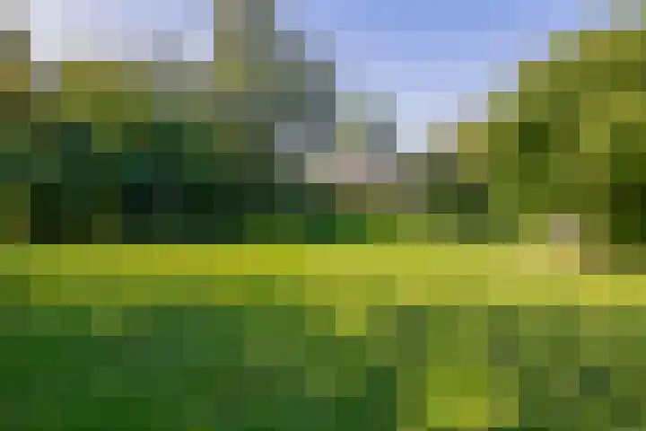 Nieuwkoopseweg 24 Pijnacker thumbnail 29
